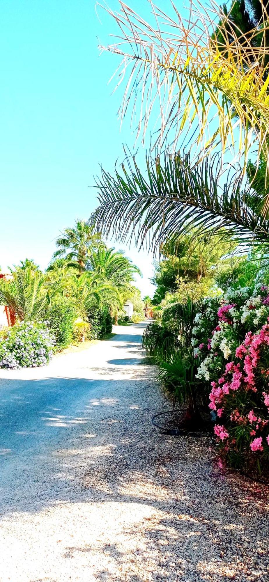 Happymobilhome Argeles-Sur-Mer -Plage A 500M- Camping 4 Etoiles Del Mar Экстерьер фото